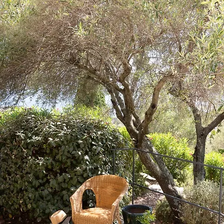 Marinarca Sitew Vecchio Marina Di Fiori Vue Piscine Chauffée Clim à Pied Tennis Porto Vecchio